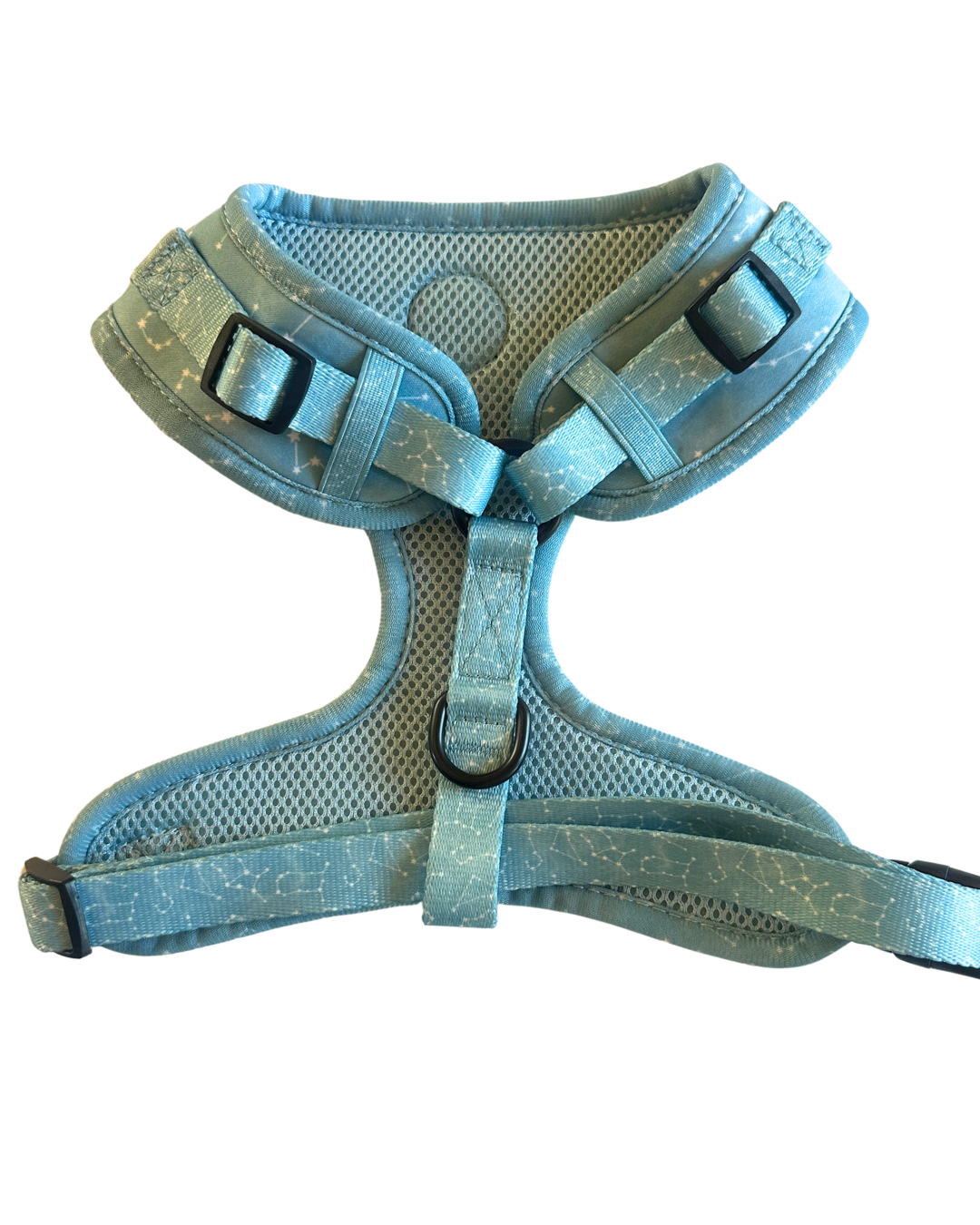 Star Gaze Harness - LARGE