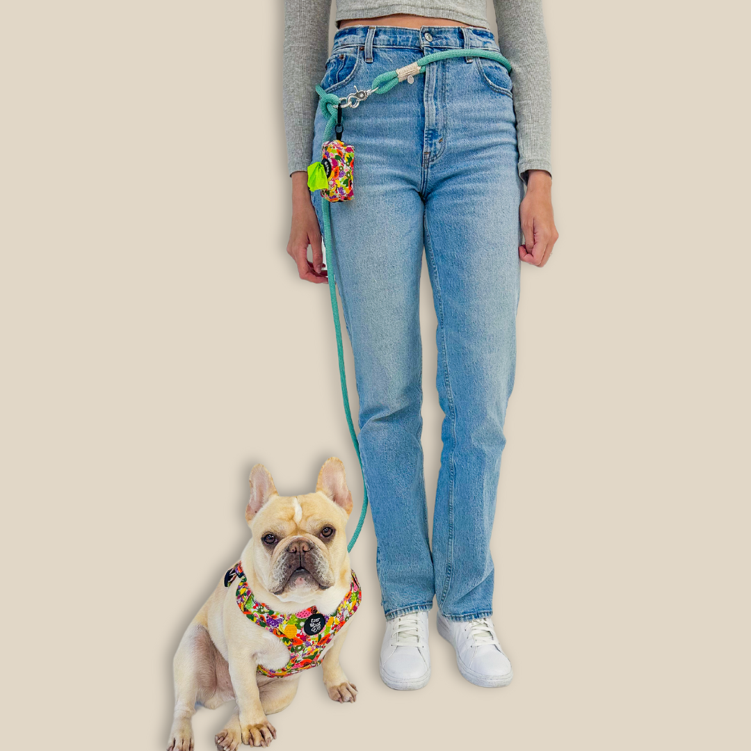 'Aquamarine' Hands Free Rope Leash