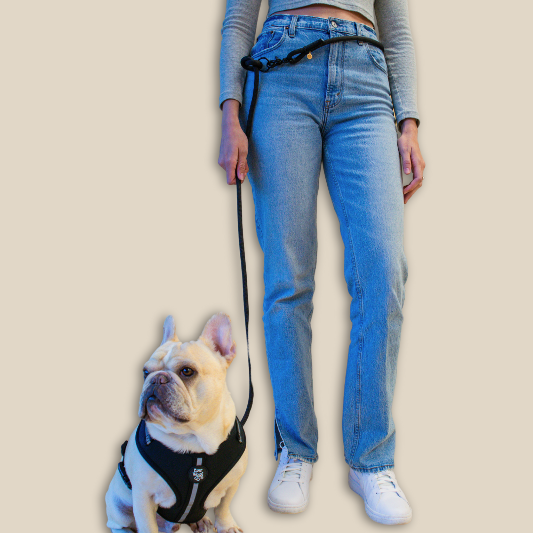 'Midnight Black' Hands Free Rope Leash