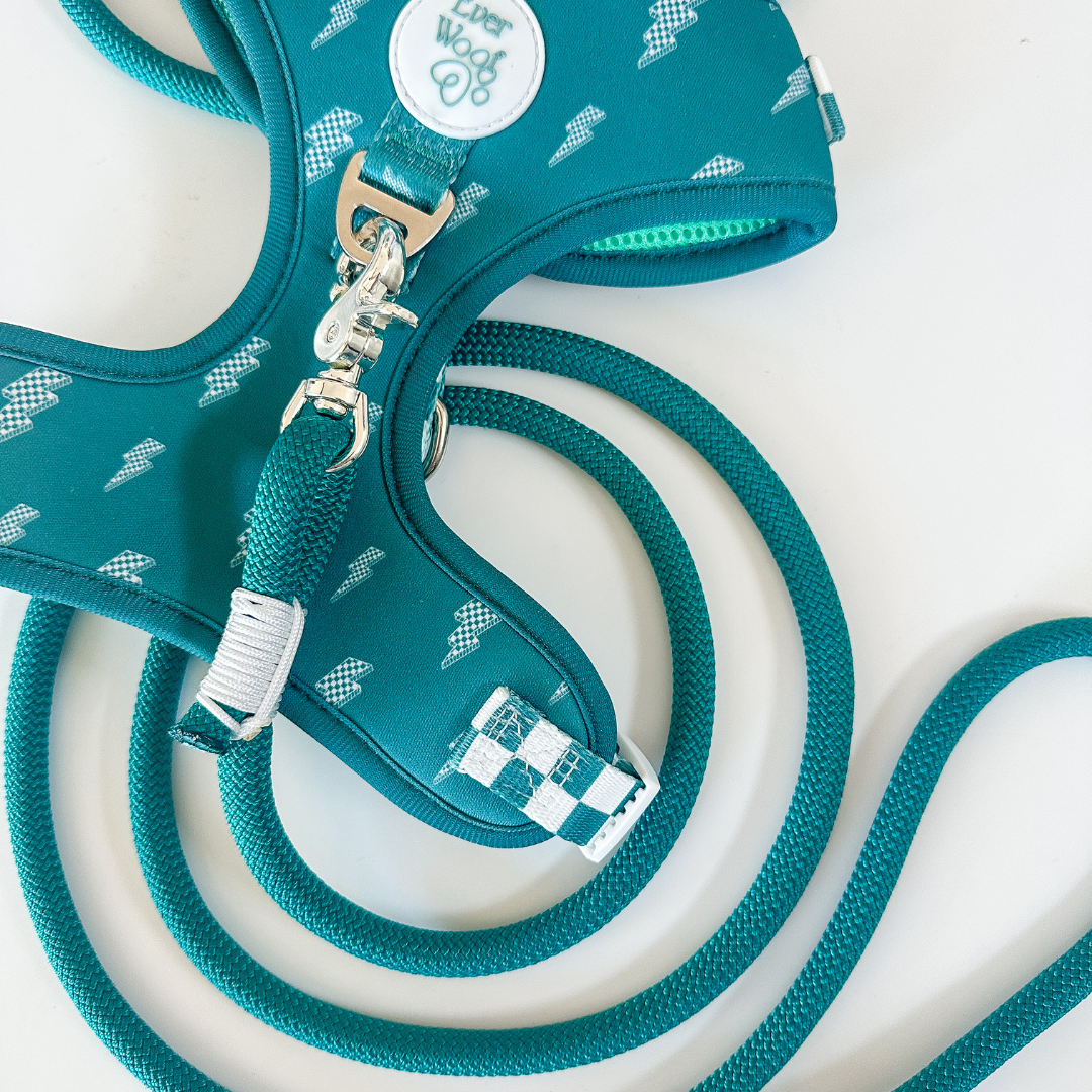 'Teal Clouds' Rope Leash