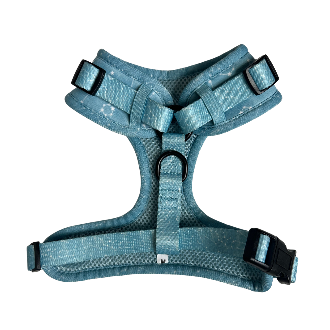 Star Gaze Harness Size M #002