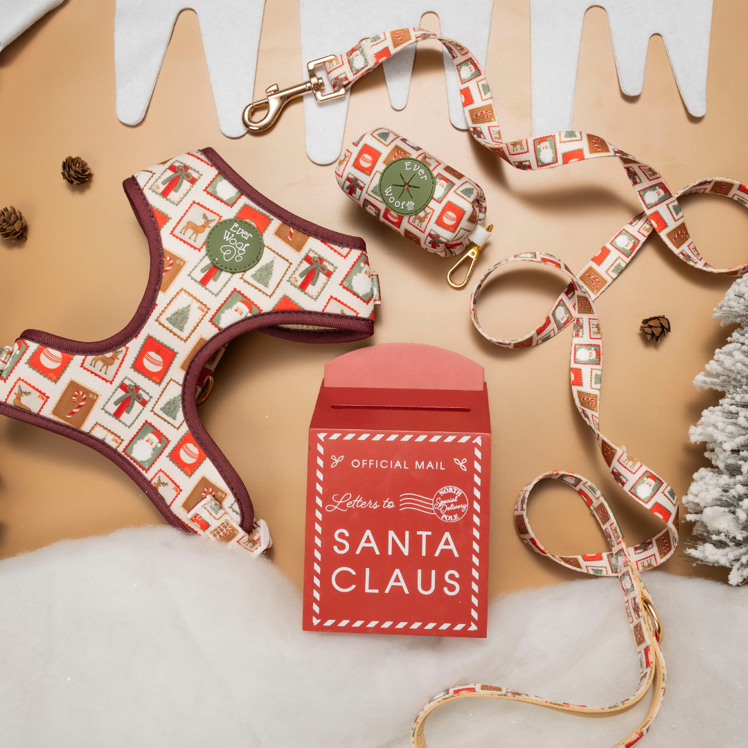 Letters to Santa Waste Bag