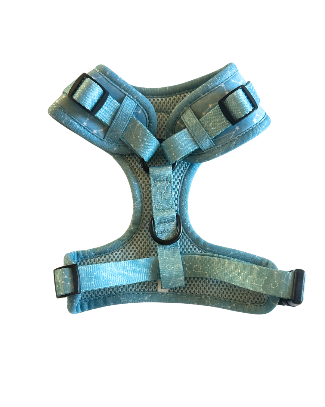 Star Gaze Harness - MEDIUM