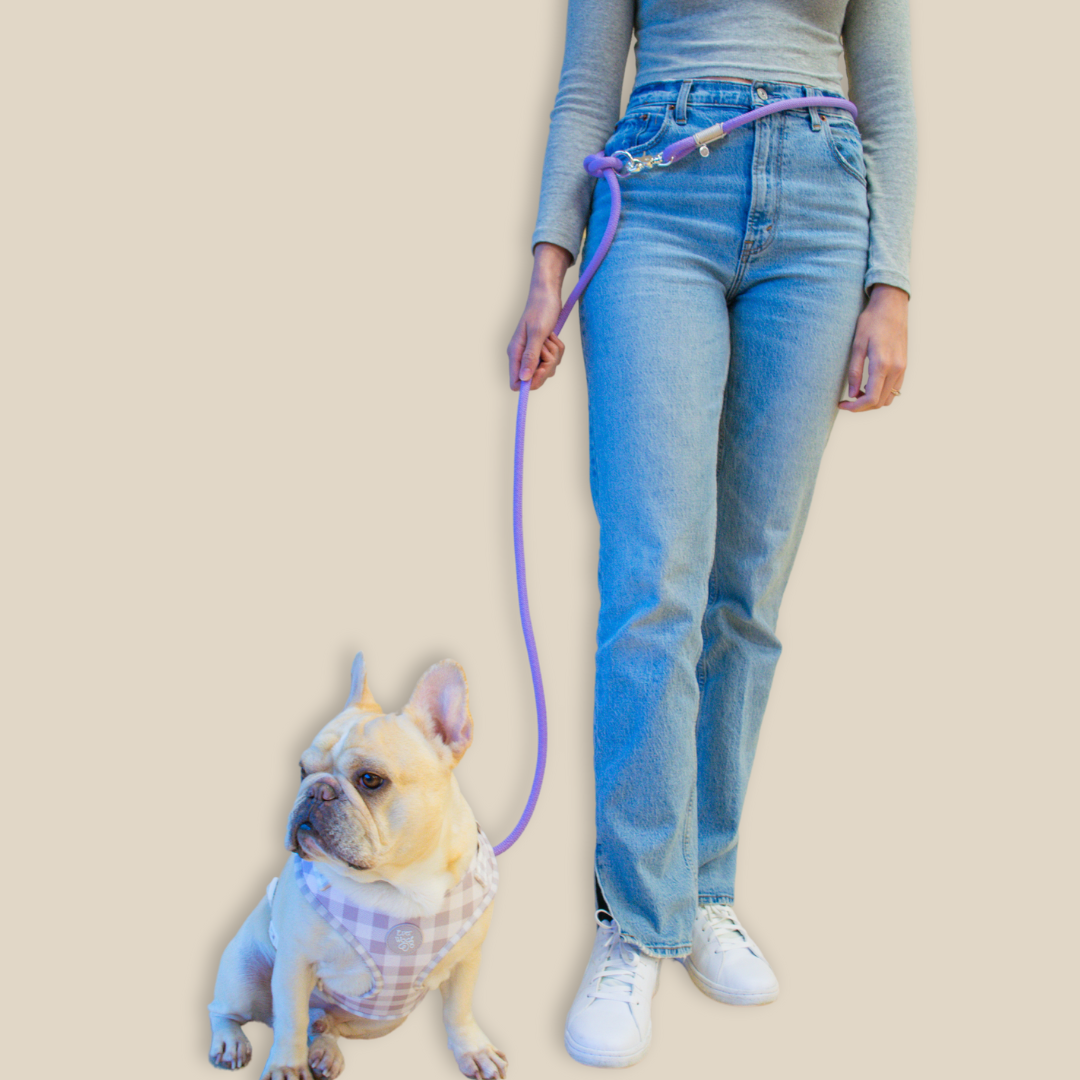 'Lavender' Hands Free Rope Leash