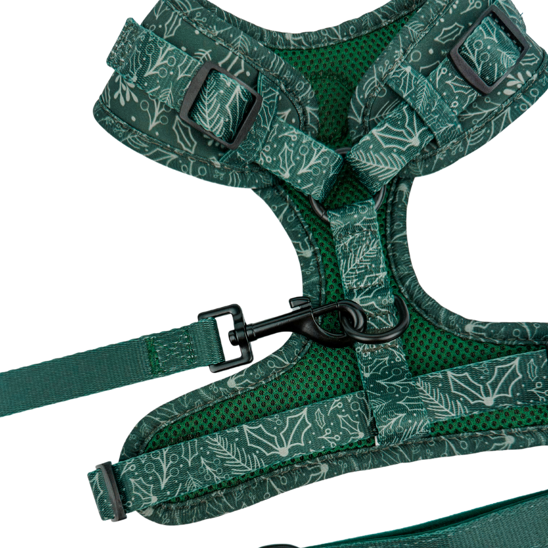 Evergreen Dream Leashes