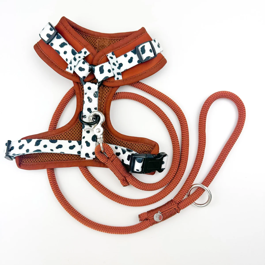 'Rustic Ember' Rope Leash