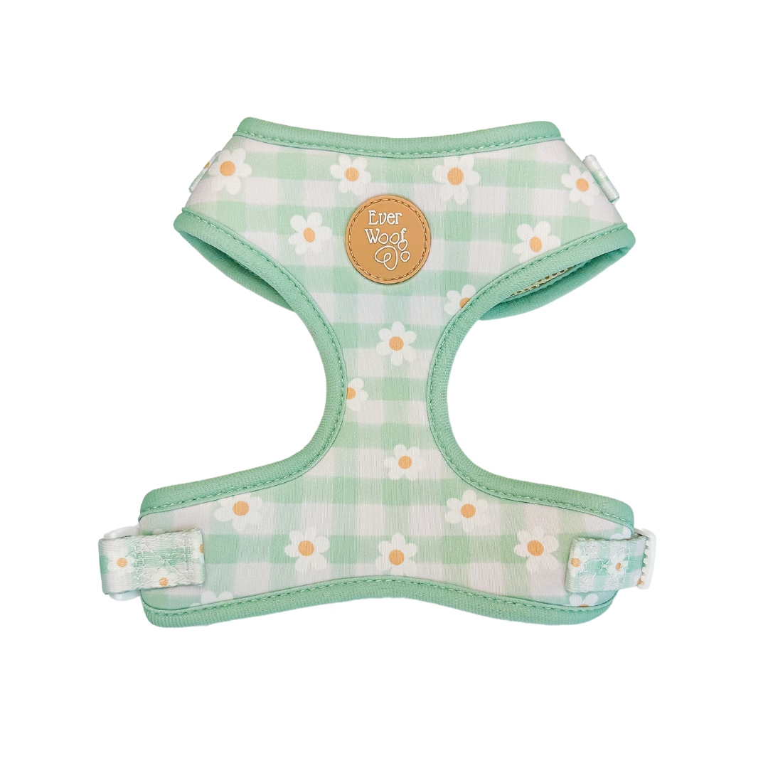 Daisy harness top for dogs