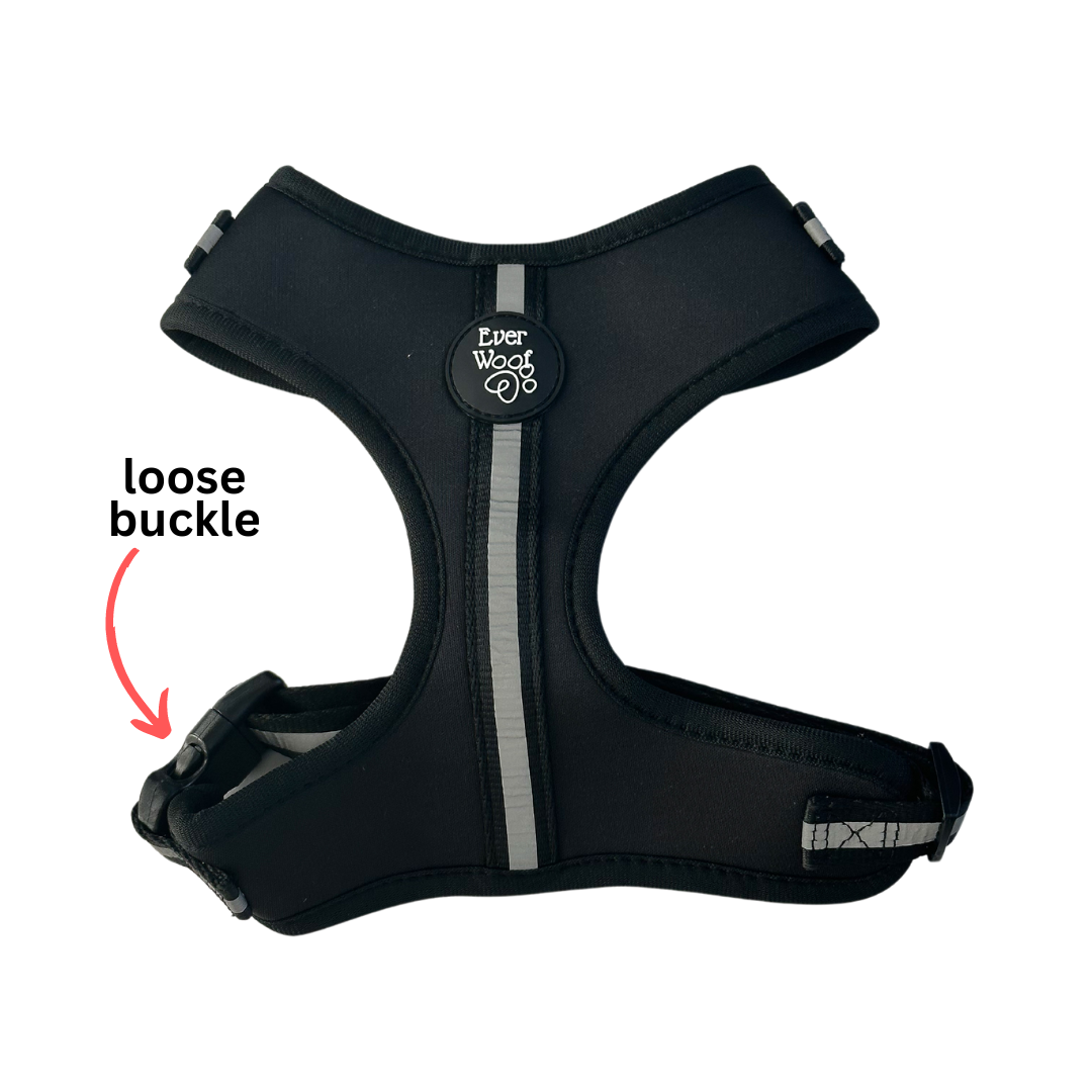 Shine Bright Obsidian Harness - X-SMALL