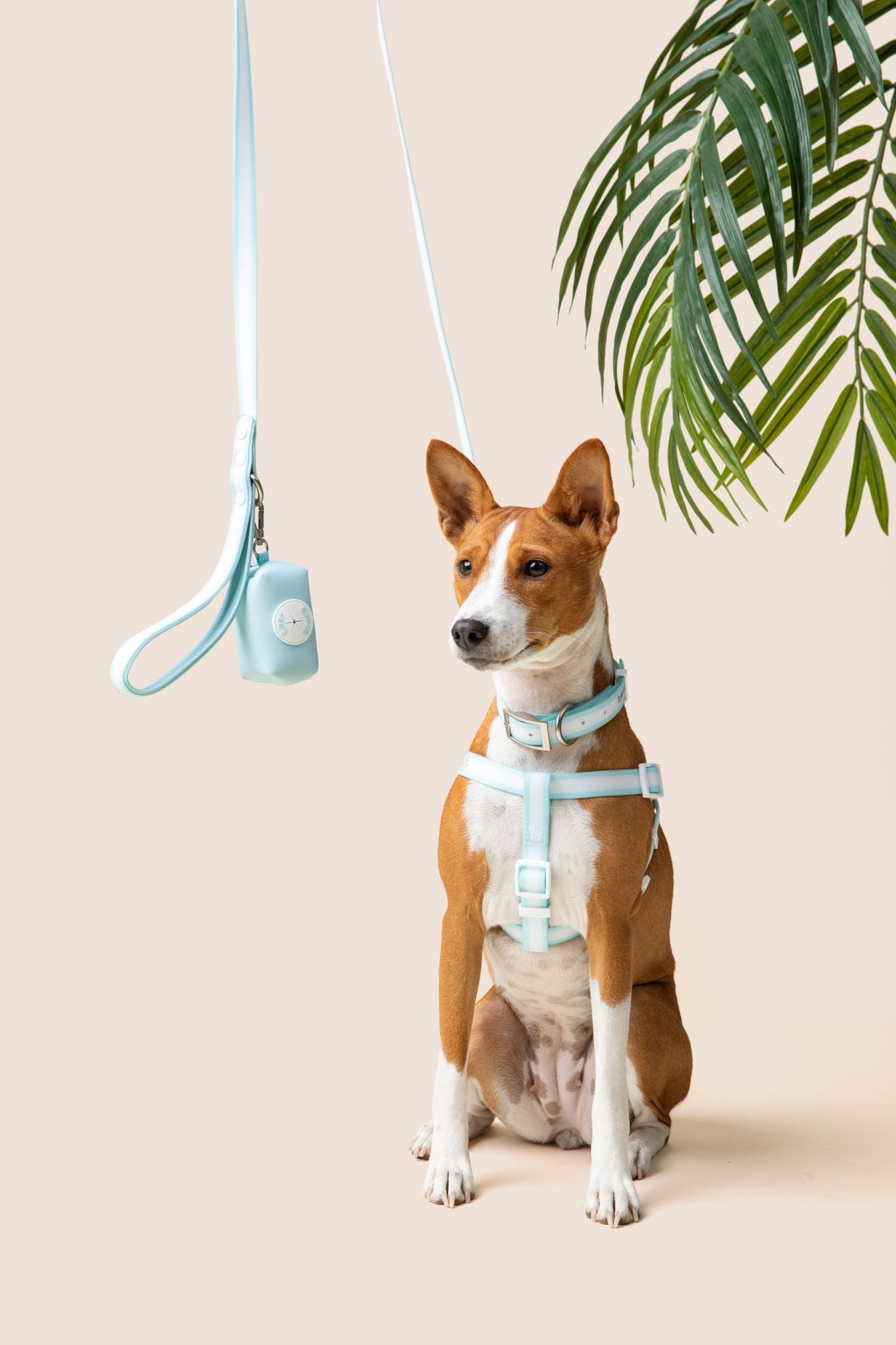 Cloud Nine Waterproof Leash