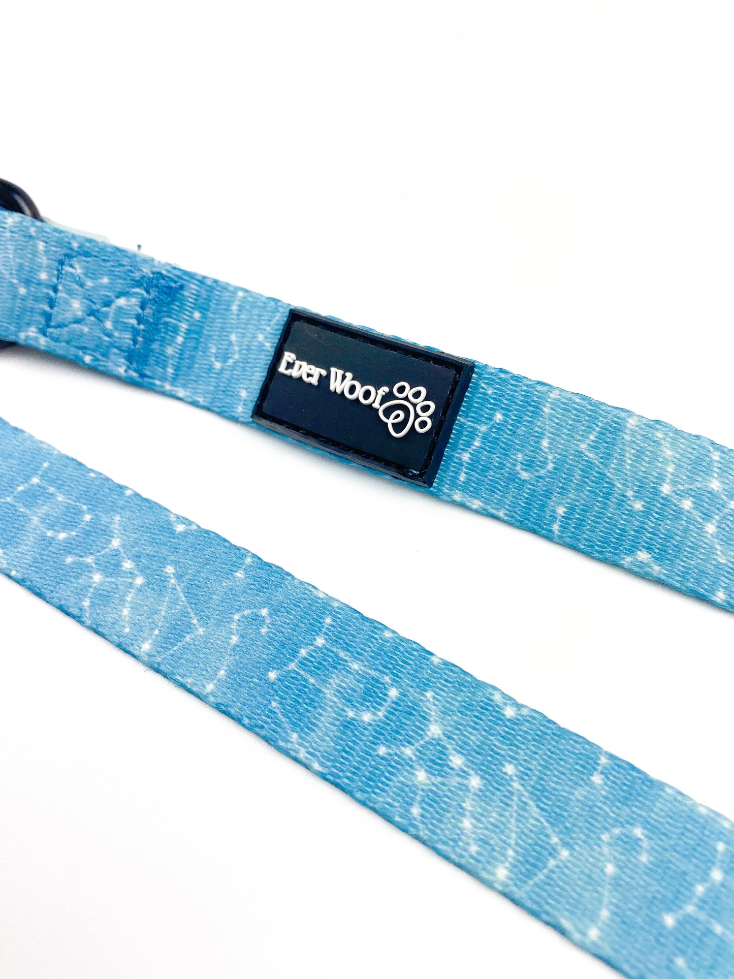 Star Gaze Leash