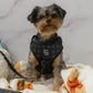 Midnight Hour Adjustable Harness