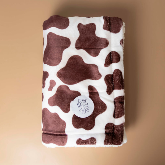 Chocolate Cow Dog Blanket