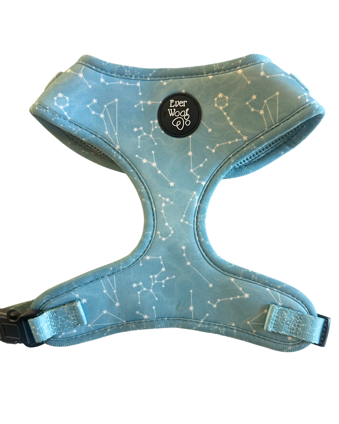 Star Gaze Harness - LARGE