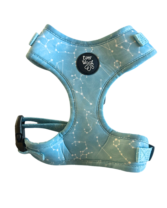 Star Gaze Harness - MEDIUM