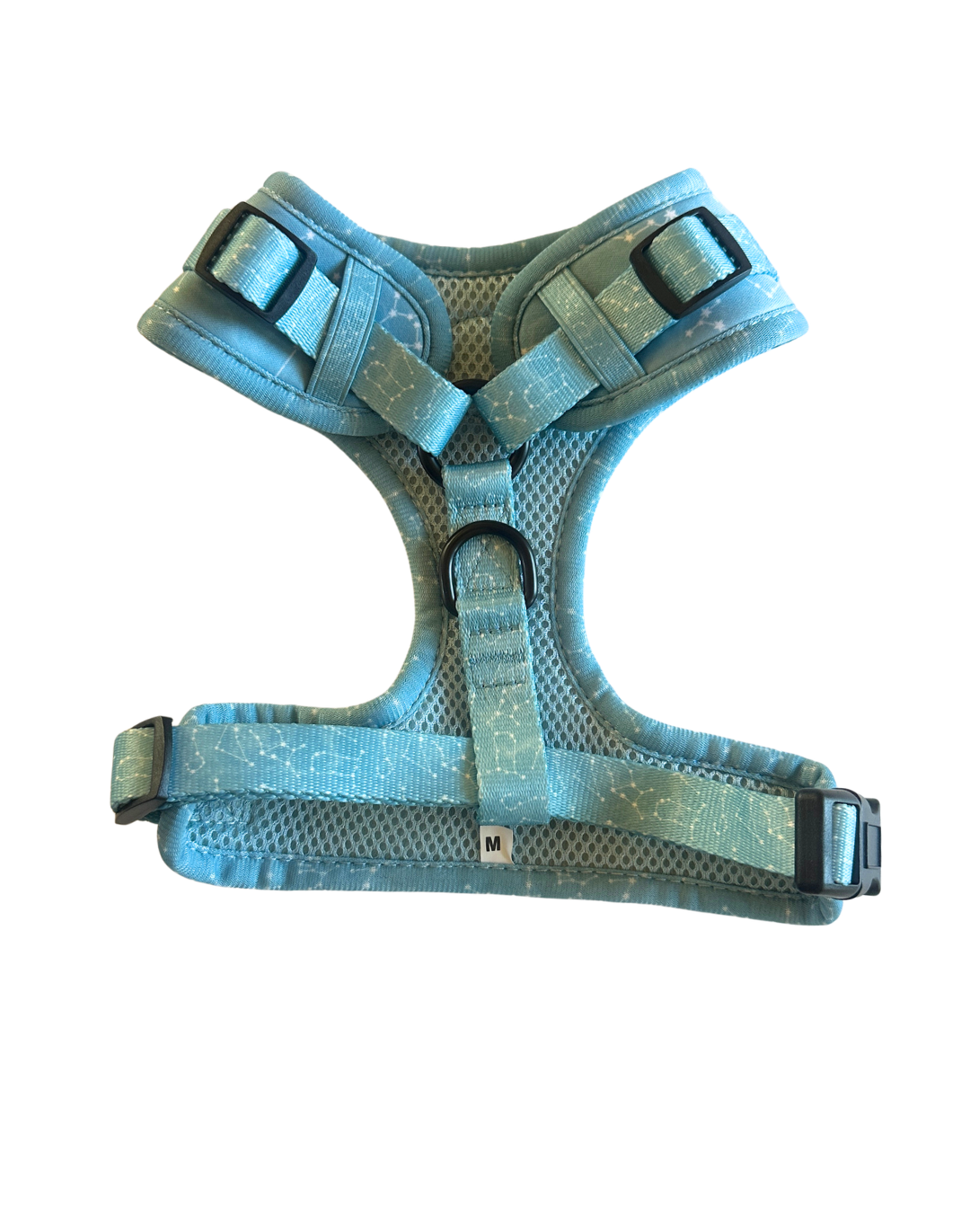 Star Gaze Harness - MEDIUM