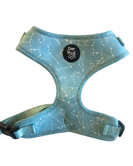 Star Gaze Harness - LARGE