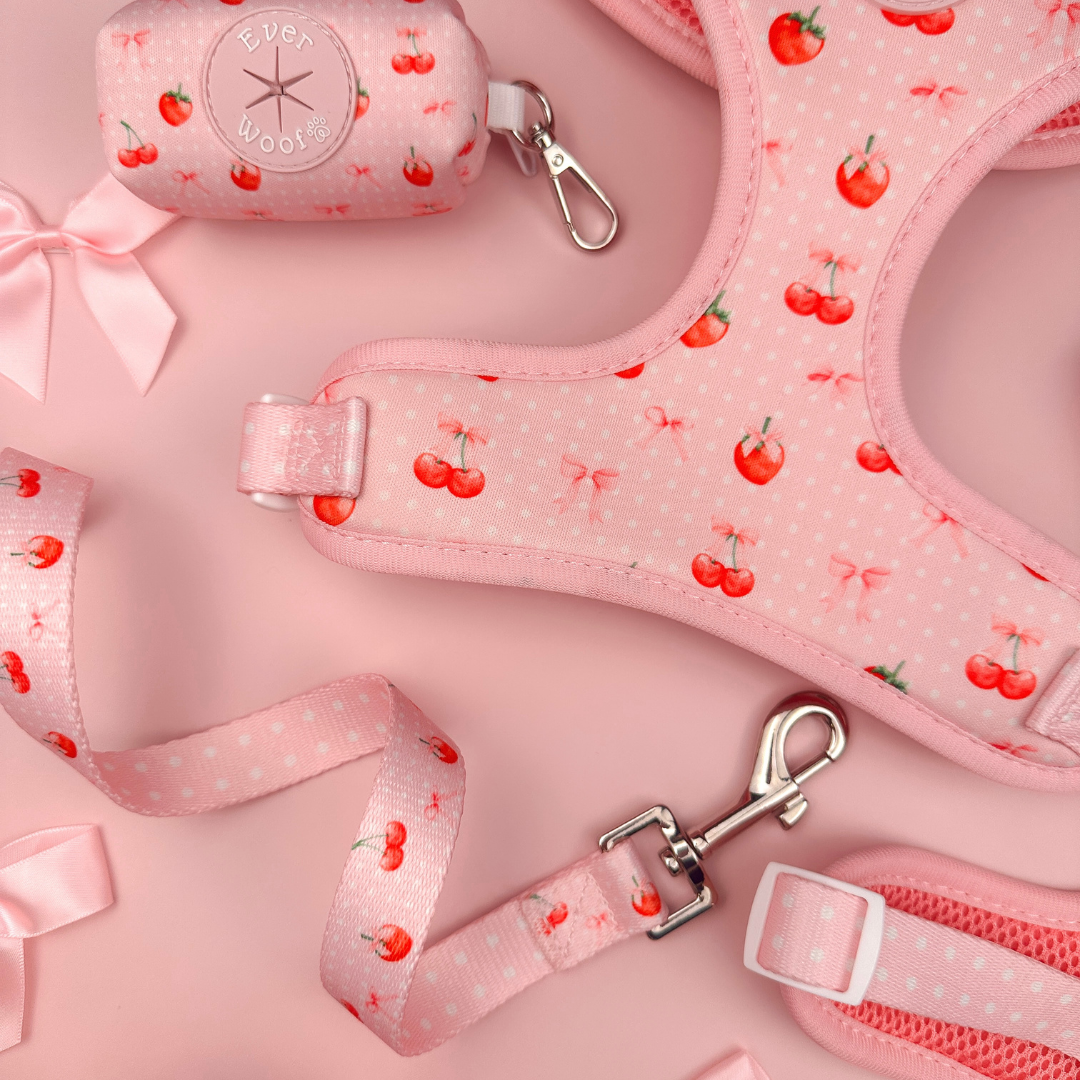 Sweet Chérie Leash