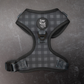 Midnight Hour Adjustable Harness