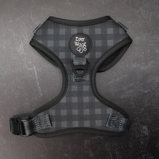 Midnight Hour Adjustable Harness