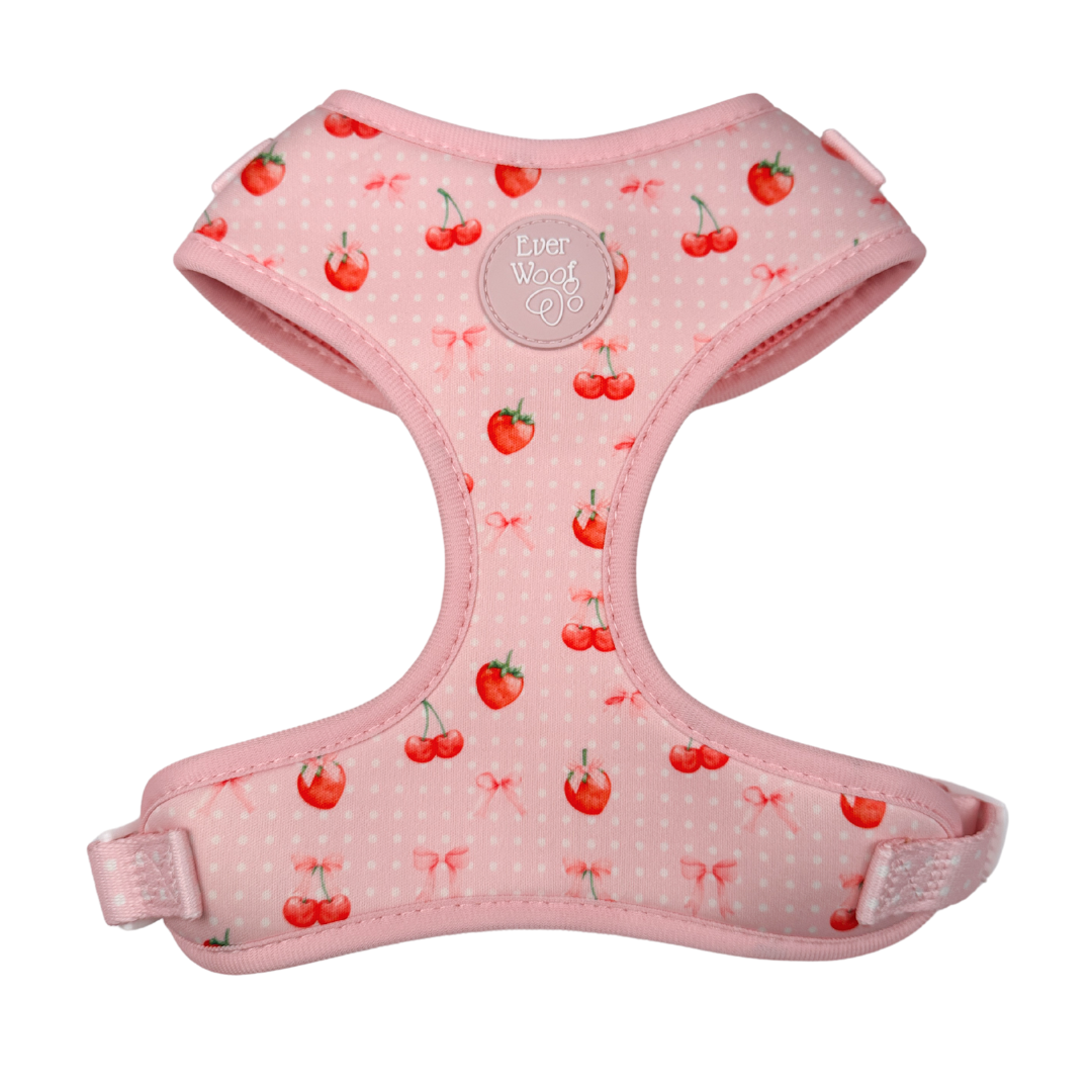 Sweet Chérie Adjustable Harness