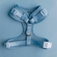 Star Gaze Adjustable Harness