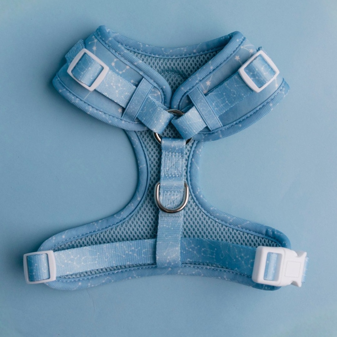 Star Gaze Adjustable Harness