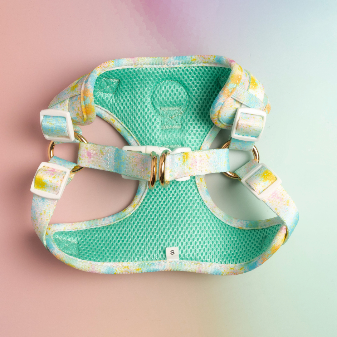 Paint the Town Step-in Harness
