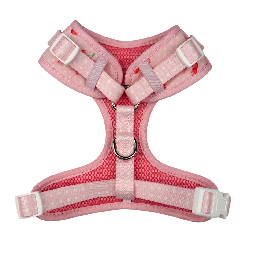 Sweet Chérie Adjustable Harness