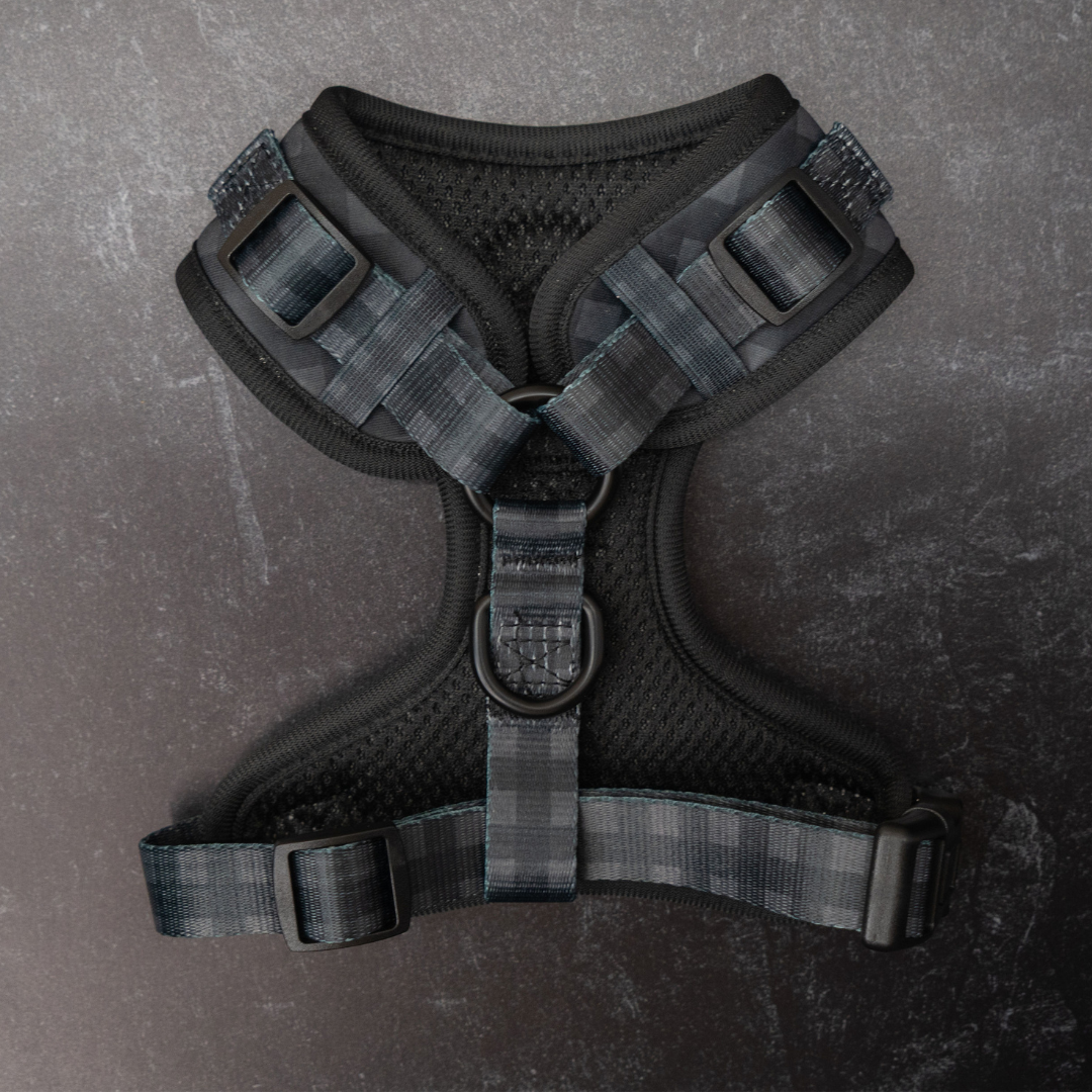 Midnight Hour Adjustable Harness
