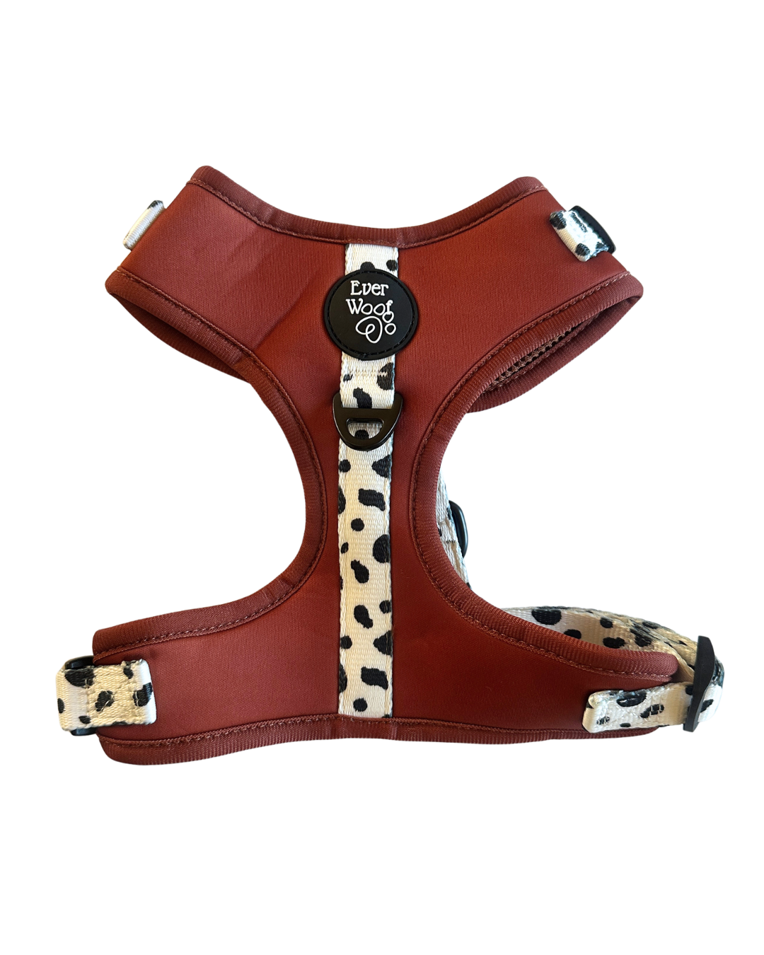 Spotted Ember Harness - MEDIUM