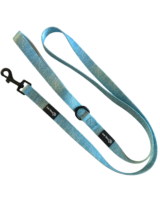 Star Gaze Leash
