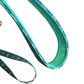 Thunderstruck Leash