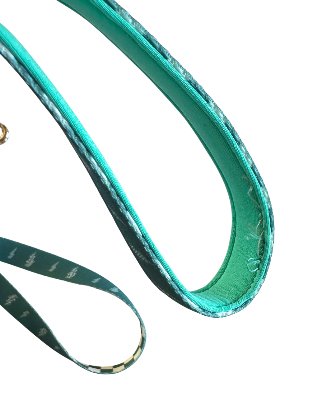 Thunderstruck Leash