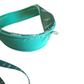 Thunderstruck Leash