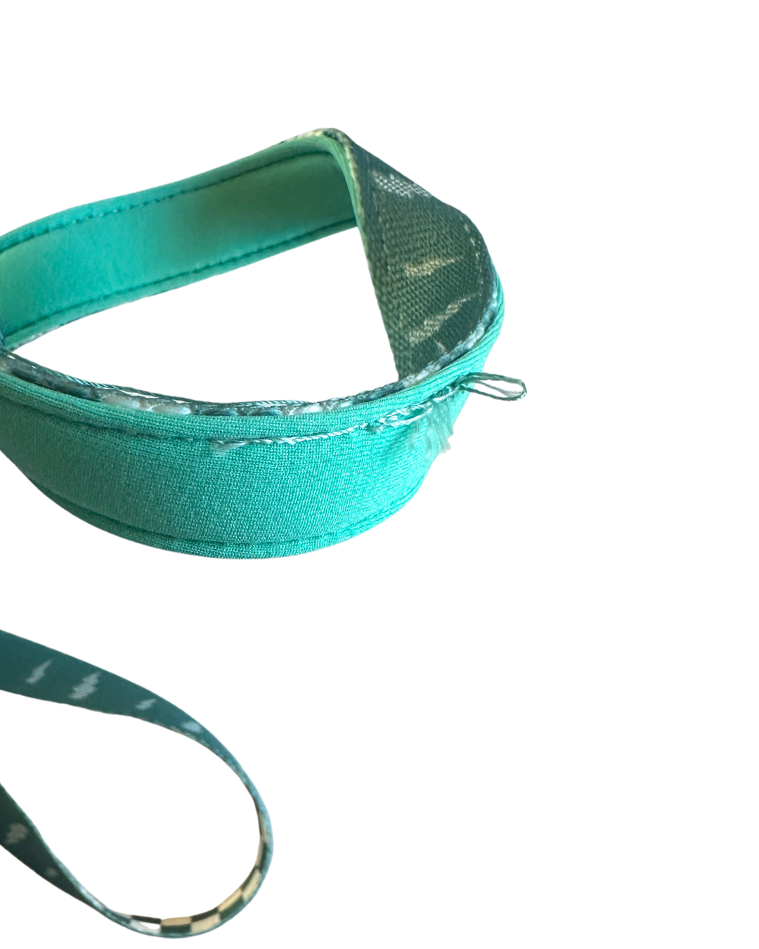 Thunderstruck Leash