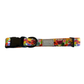 Tutti Fruiti Collar - MEDIUM