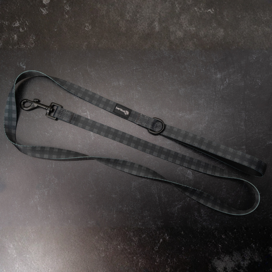 Midnight Hour Leash