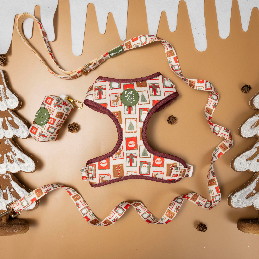 Letters to Santa Adjustable Harness