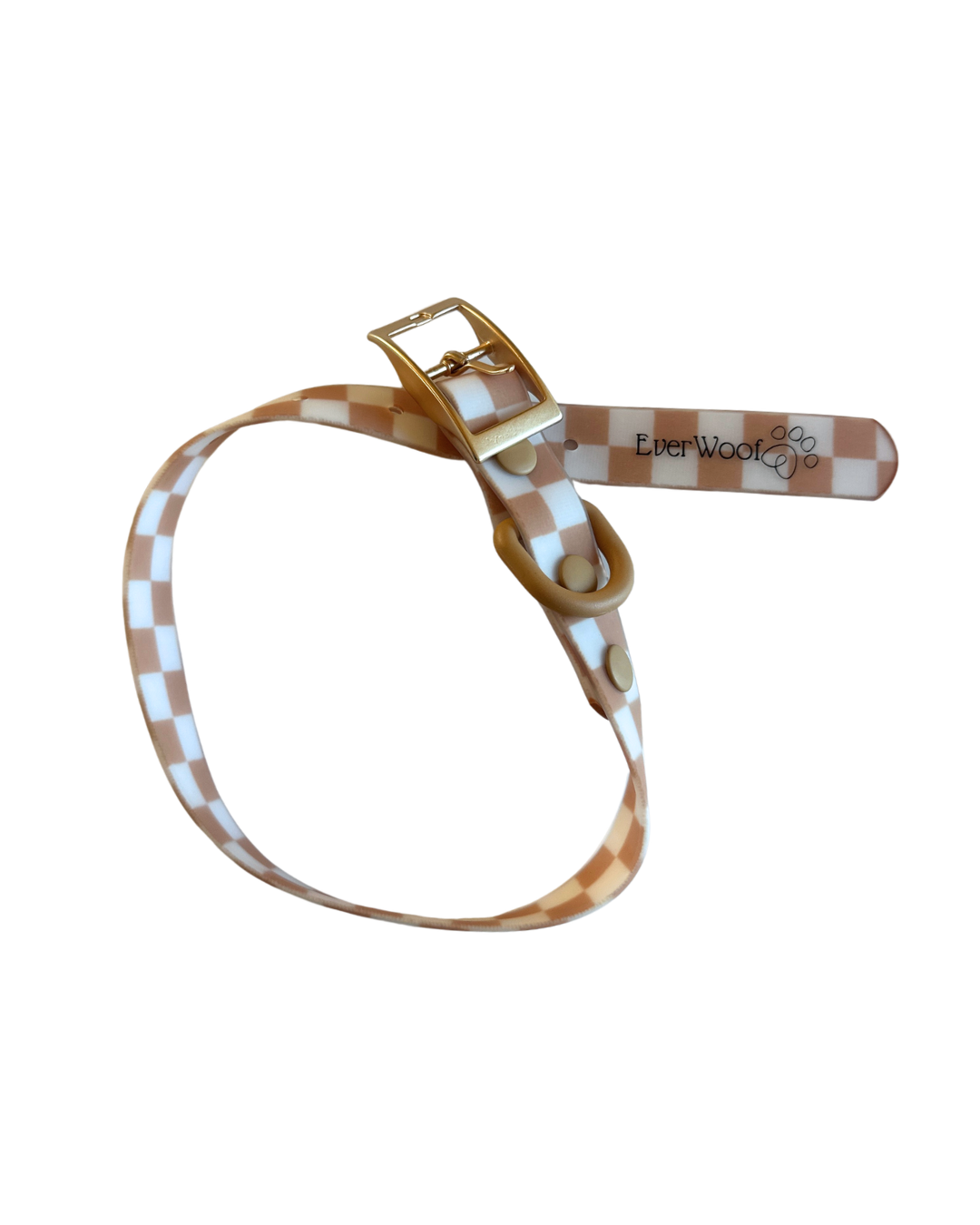 Check Me Out Waterproof Collar - SMALL