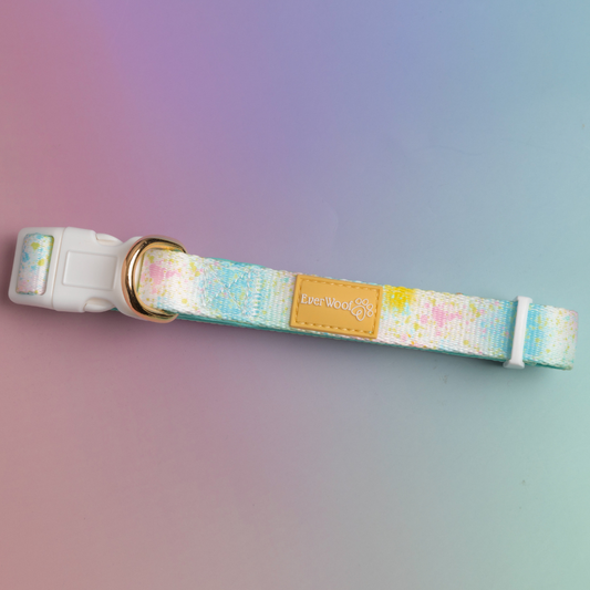 Paint the Town Collar