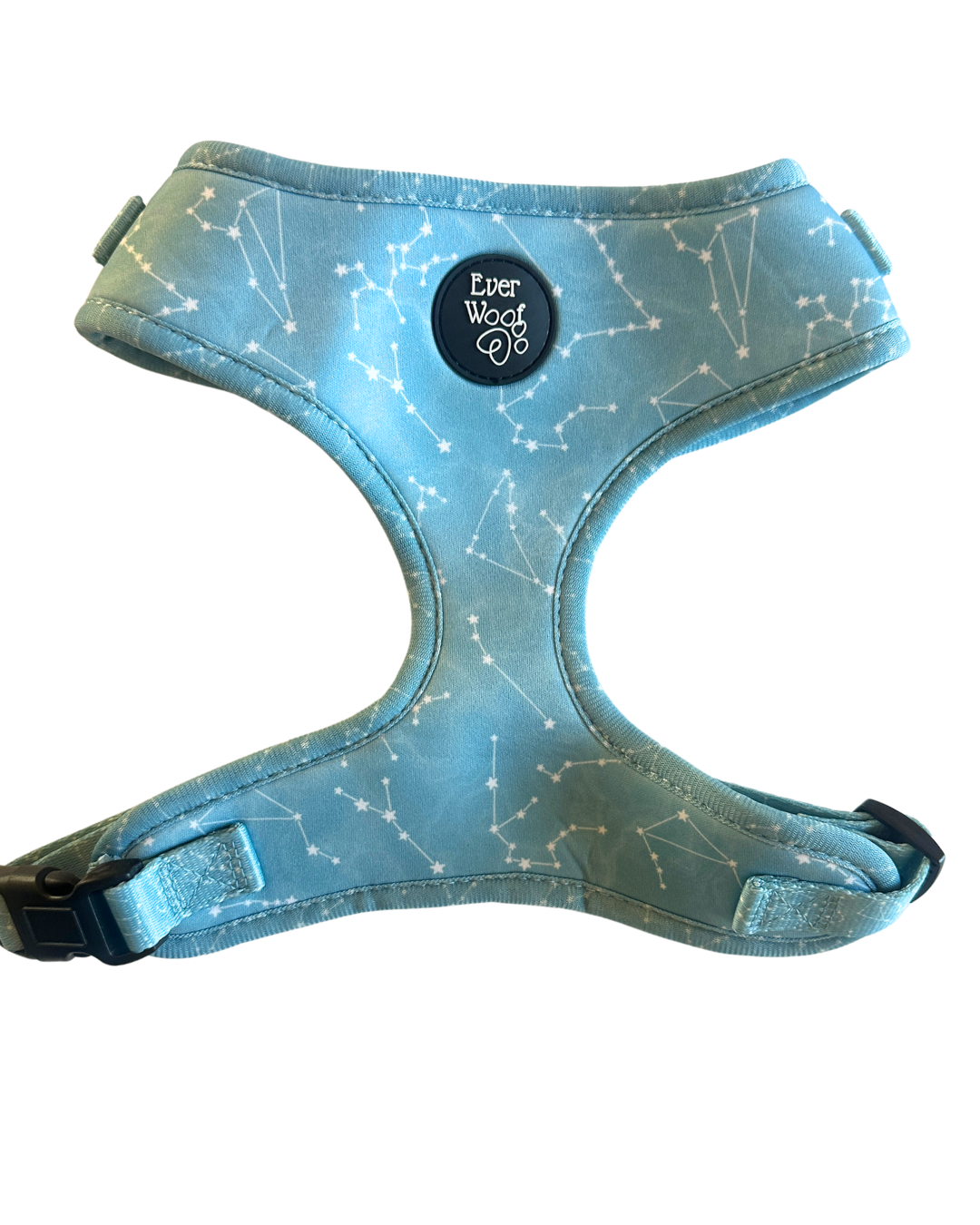 Star Gaze Harness - LARGE