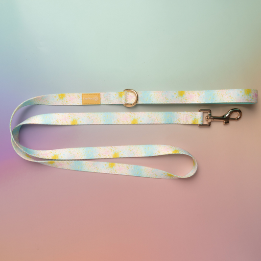Paint the Town Leash