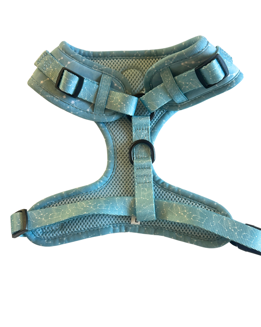 Star Gaze Harness - LARGE