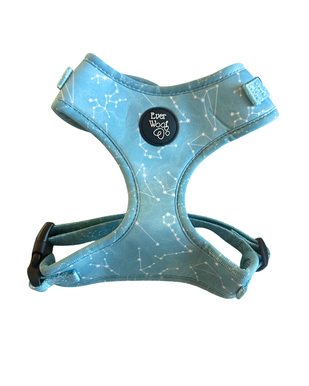 Star Gaze Harness - MEDIUM