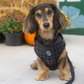 Midnight Hour Adjustable Harness