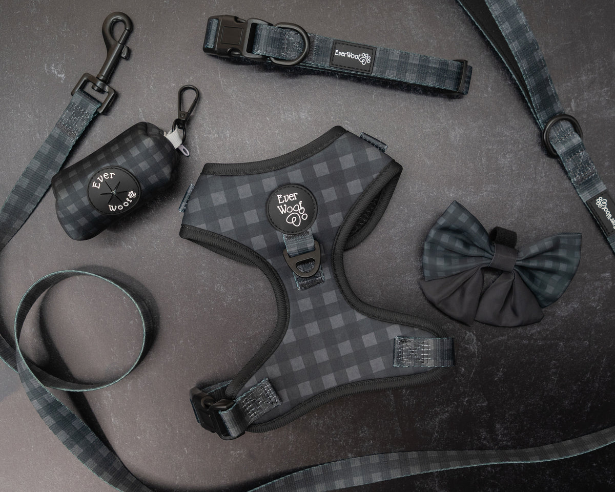 Midnight Hour Adjustable Harness