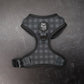 Midnight Hour Adjustable Harness