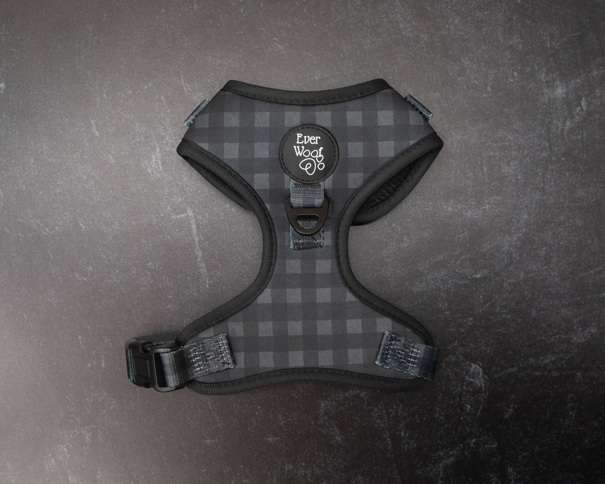 Midnight Hour Adjustable Harness