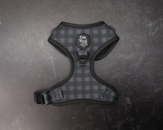 Midnight Hour Adjustable Harness