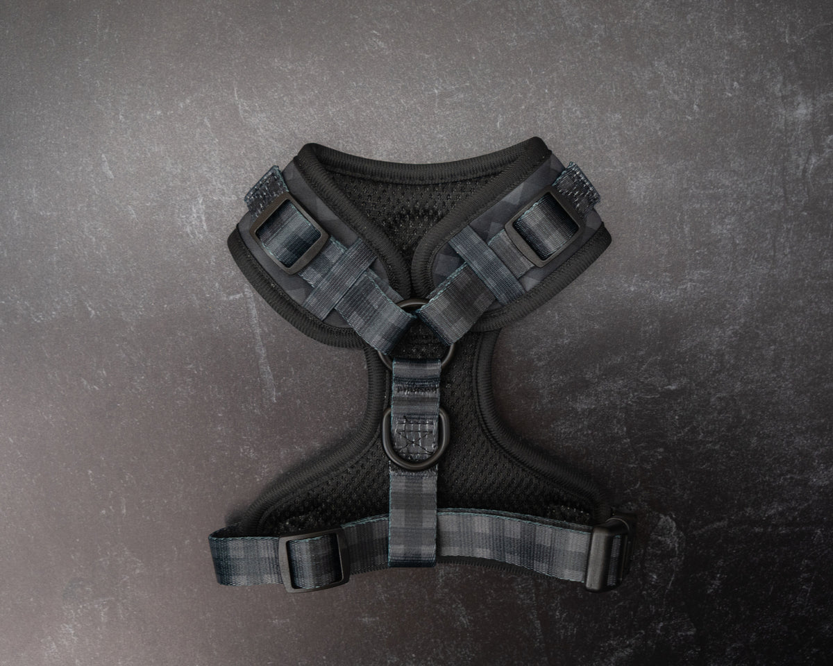Midnight Hour Adjustable Harness